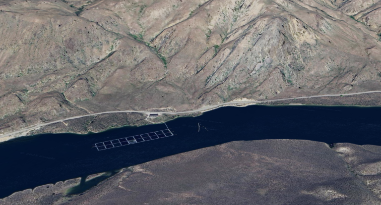 Conservation Groups Sue Over Aquaculture Pollution of Columbia River